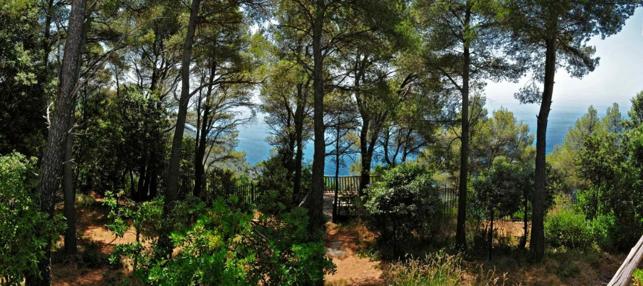 Al Cavalluccio Marino Bed & Breakfast